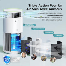 Load image into Gallery viewer, Amicura P2 Purificateur d'air Hepa pour Animaux et Personnes Allergiques, 843 m³/h CADR Contre les Poils d'animaux, Filtre Hospitalier H13 Hepa, 450 m³/h de Particules, Contrôle par App